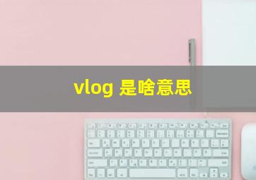 vlog 是啥意思